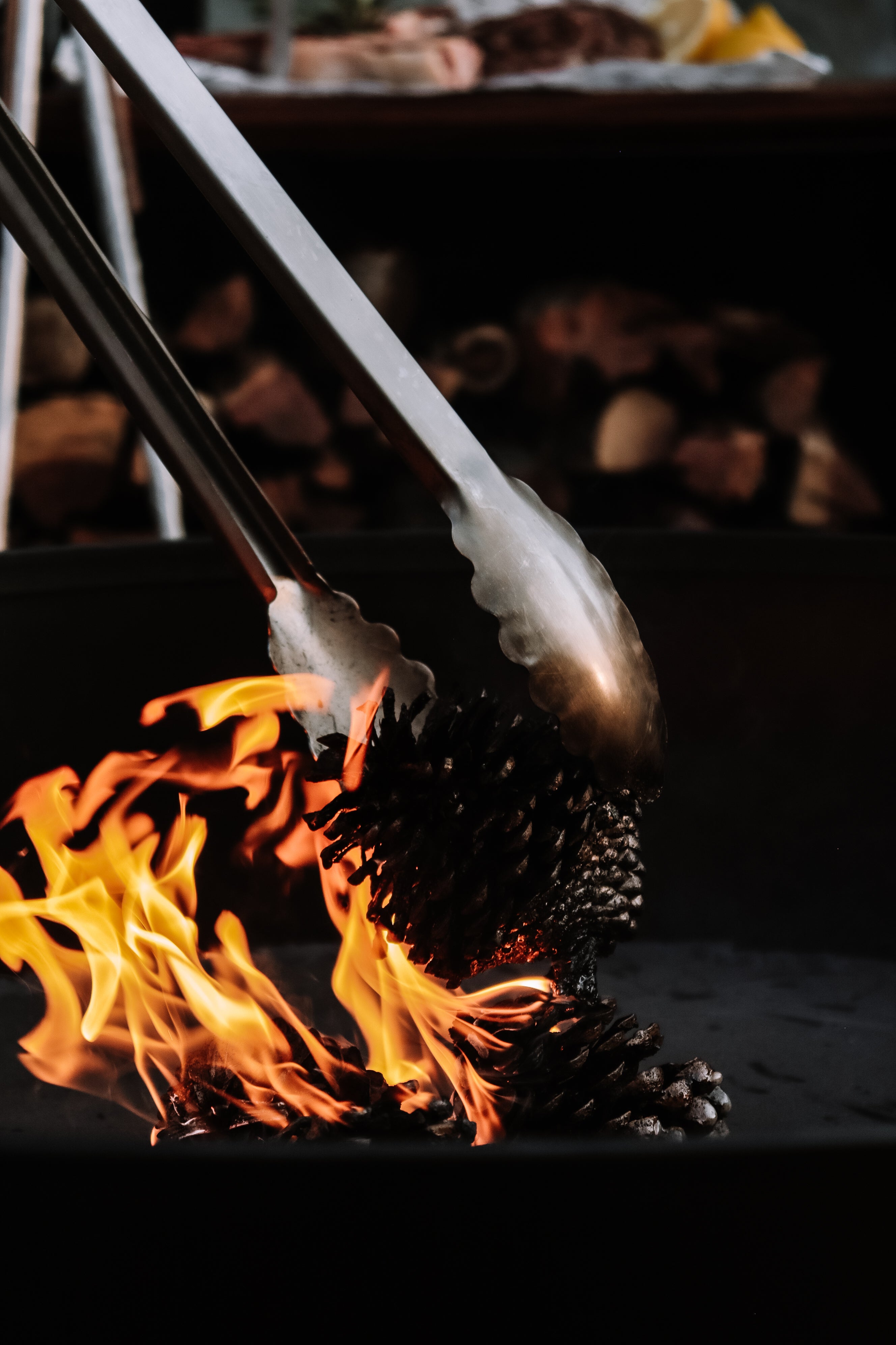 Fire, fire pit, bbq tong, tong, fire tong, pinecone, Donkey Long Tong